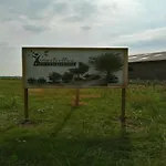 Tiny In Next To Forest Дом отдыха Оирсхот