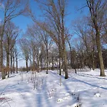 Tiny In Next To Forest Дом отдыха *