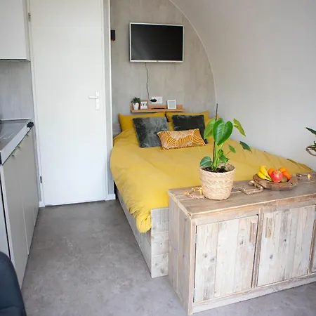 Vakantiehuis Tiny In Oirschot Next To Forest Haghorst