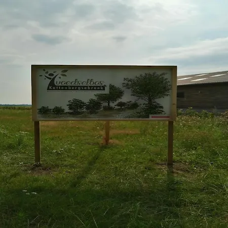 Tiny In Oirschot Next To Forest Vakantiehuis Haghorst