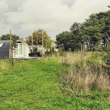 Vakantiehuis Tiny In Oirschot Next To Forest Haghorst