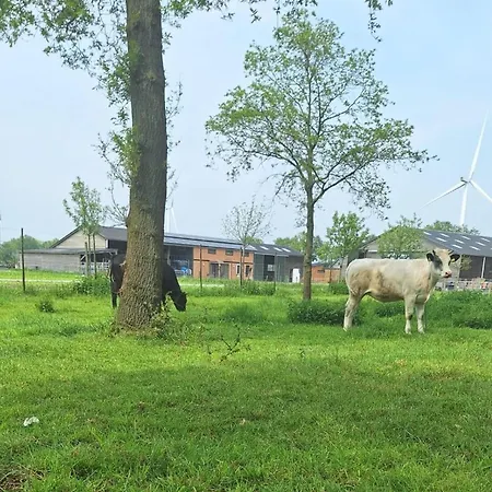 Tiny In Oirschot Next To Forest