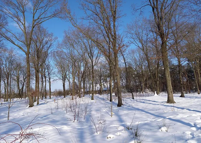 Tiny In Oirschot Next To Forest Σπίτι διακοπών *