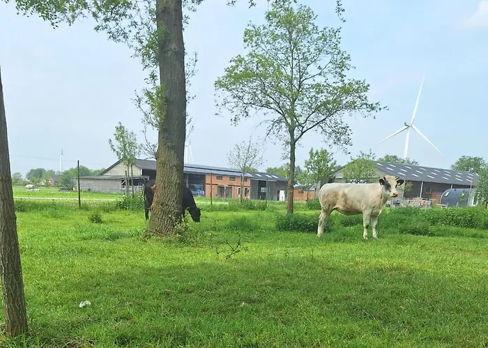 Tiny In Oirschot Next To Forest