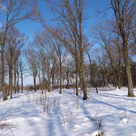 Tiny In Oirschot Next To Forest 度假居 *